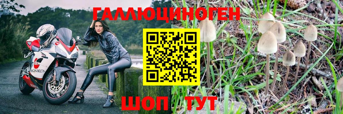 Псилоцибиновые грибы мухоморы Асбест