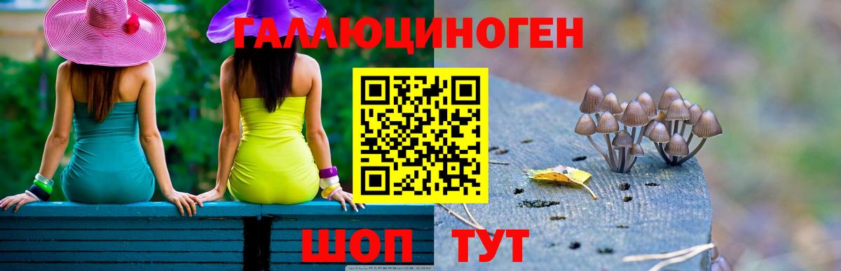 Галлюциногенные грибы мухоморы  Вход с VPN  Асбест  Галлюциногенные грибы Psilocybe 